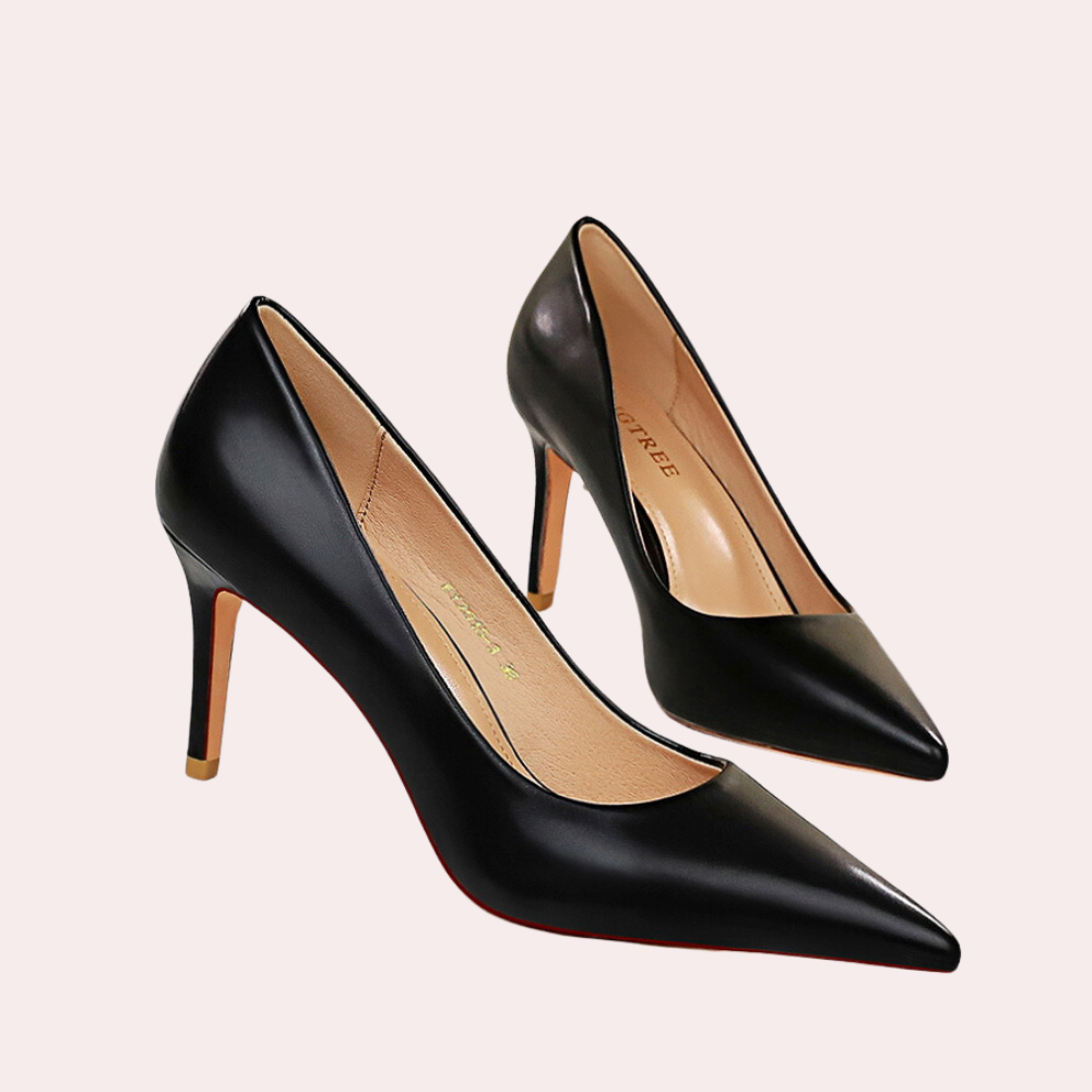 Stylish women's shoes with sophisticated high heels