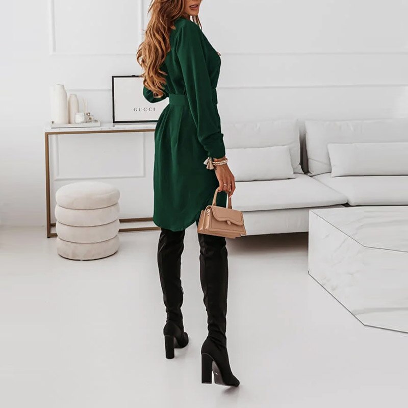 Elegant Sonnet Blouse Dress with Trendy Belt